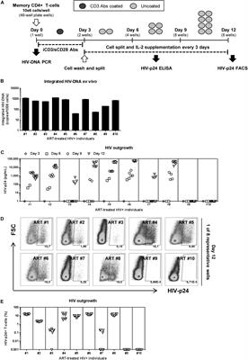 Improving HIV Outgrowth by Optimizing Cell-Culture Conditions and Supplementing With all-trans Retinoic Acid